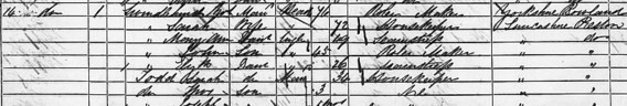 1861 Census Extract from Preston