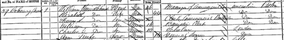 Extract of the 1871 Census for Camberwell, London